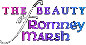 The Beauty of Romney Marsh