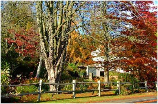 Autumn in Rye