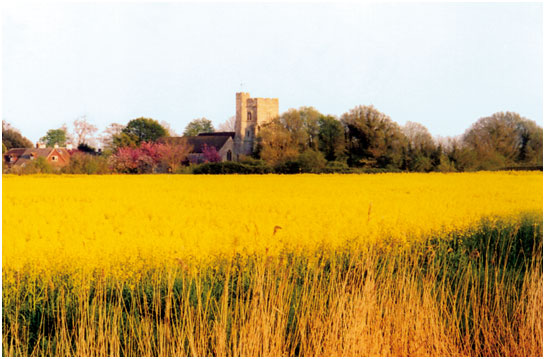Newchurch in Spring across a field of rape