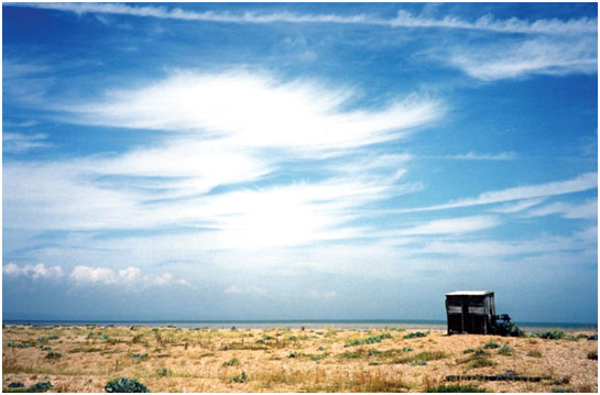 Dungeness Beach