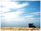 The Skies